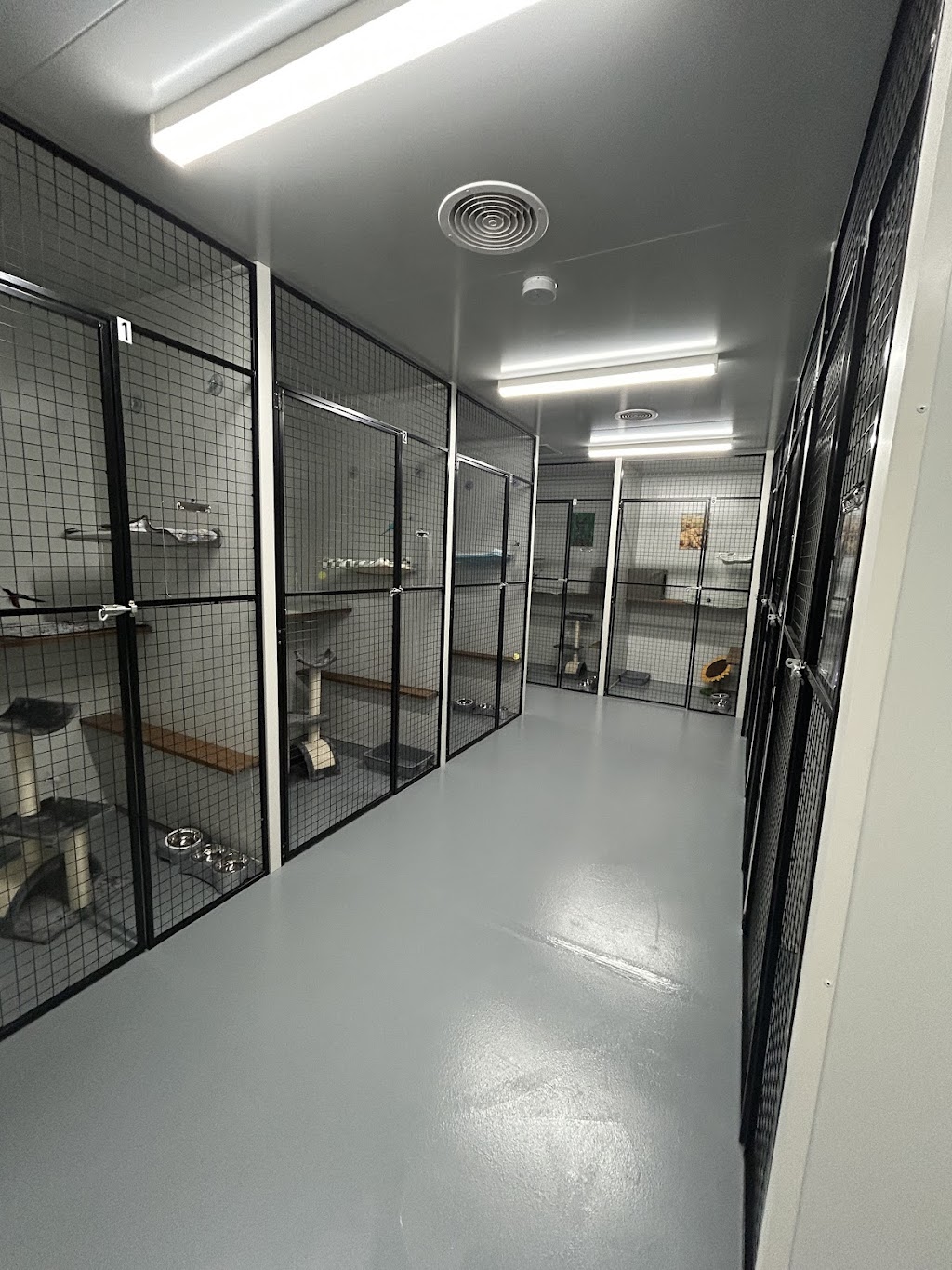 Cardinia Cattery | 200 Bladens Rd, Koo Wee Rup VIC 3981, Australia | Phone: 0499 453 847