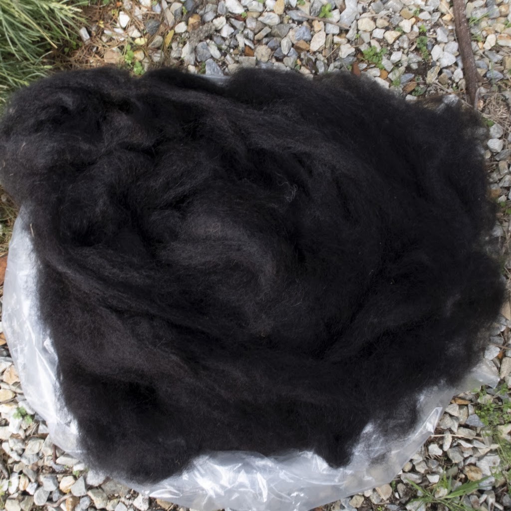 Tin Dragon Alpaca Fibre | 3 Coxs Ln, Branxholm TAS 7261, Australia | Phone: 0407 501 137