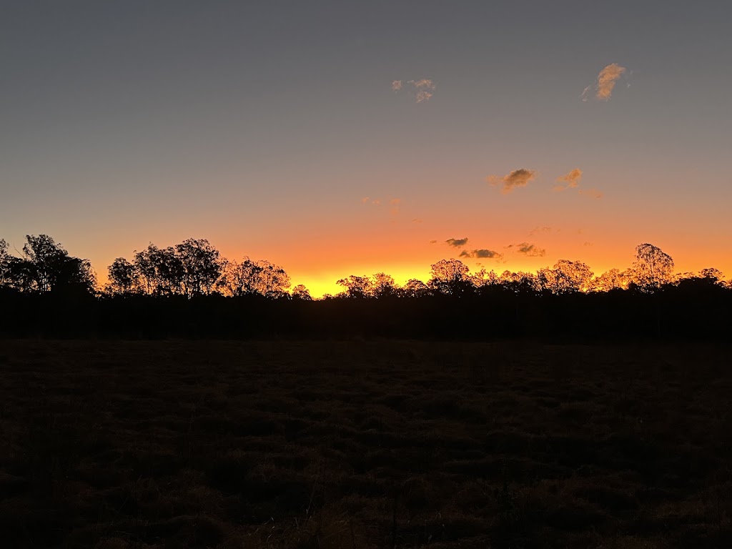 Cromwell Farms Glenugie Station | 23 Eight Mile Ln, Glenugie NSW 2460, Australia | Phone: 0447 755 440