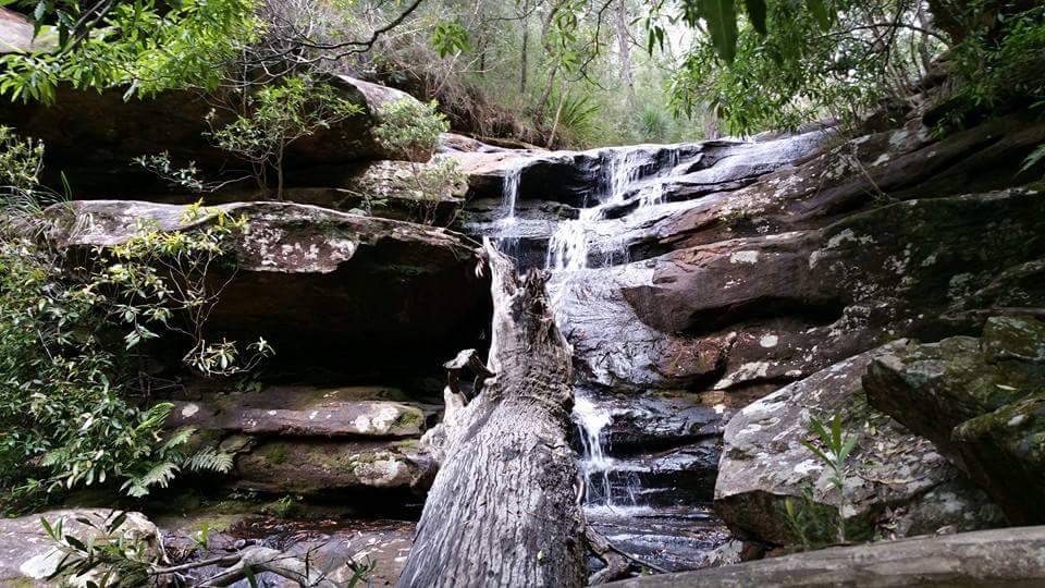 Palona Cave Track | Palona Cave Track, Royal National Park NSW 2233, Australia