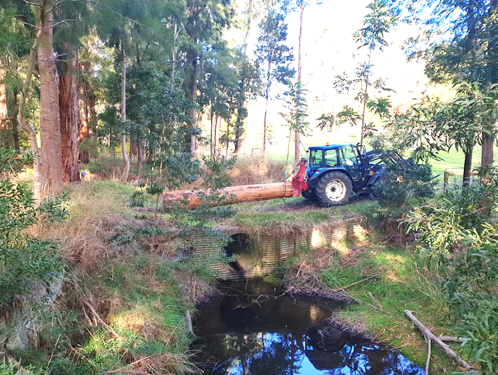 Bambra Agroforestry Farm | 165 Bambra-Boonah Rd, Bambra VIC 3241, Australia | Phone: 0409 609 939