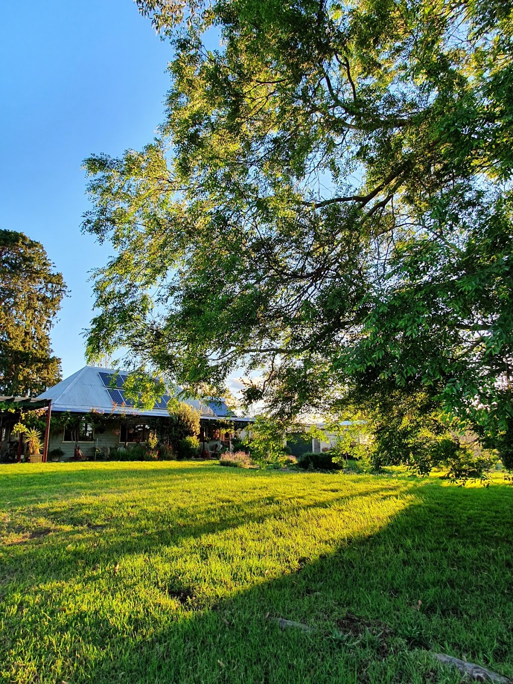 Fork & Hoe Farm | 26 Buckajo Rd, Buckajo NSW 2550, Australia | Phone: 0428 081 634