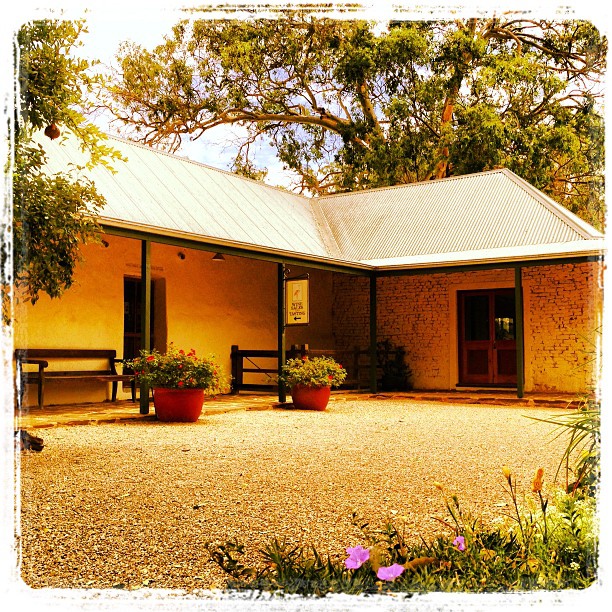 Turkey Flat Vineyards | tourist attraction | 67 Bethany Rd, Tanunda SA 5352, Australia | 0885632851 OR +61 8 8563 2851