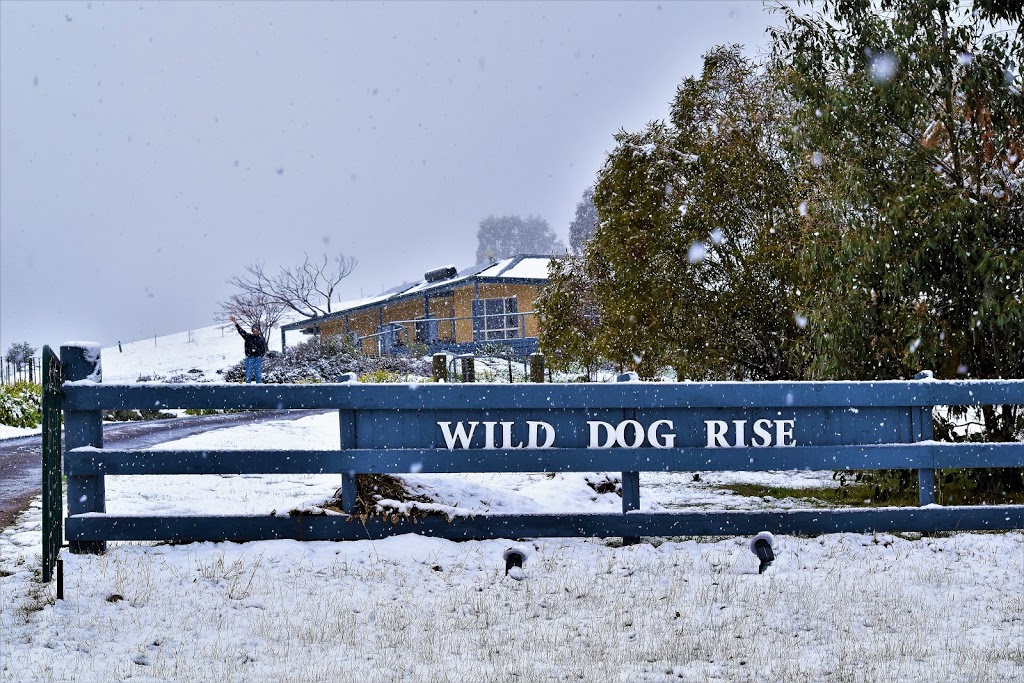 Wild Dog Rise | lodging | 146 Wild Dog Rd, Merrijig VIC 3723, Australia | 0416027008 OR +61 416 027 008