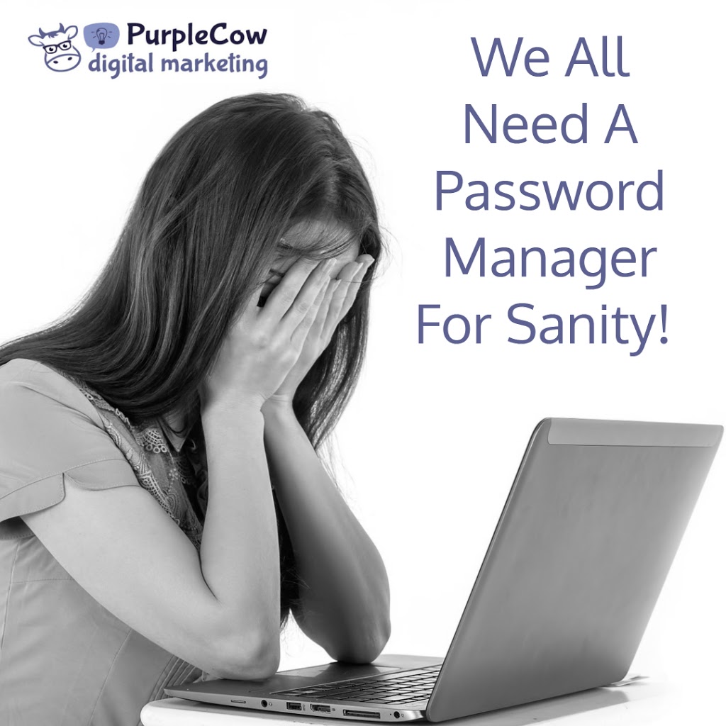 PurpleCow Digital Marketing | 59 Turner St, Scarborough QLD 4020, Australia | Phone: 0420 990 927