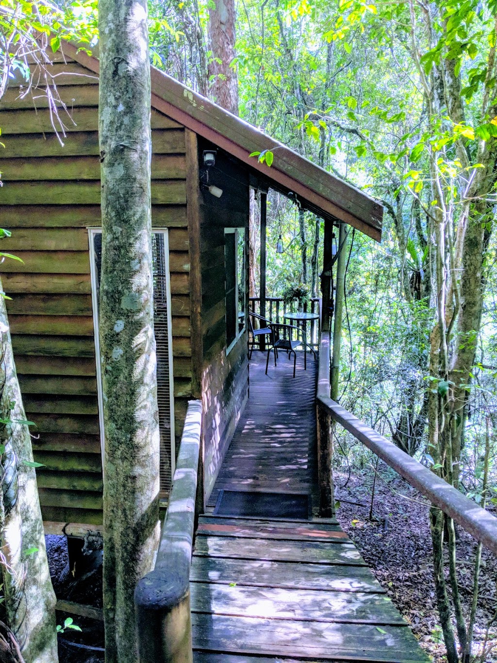 Adjinbilly Rainforest Retreat Cabins | lodging | 34 Adjinbilly Rd, The Falls QLD 4373, Australia | 0746641599 OR +61 7 4664 1599