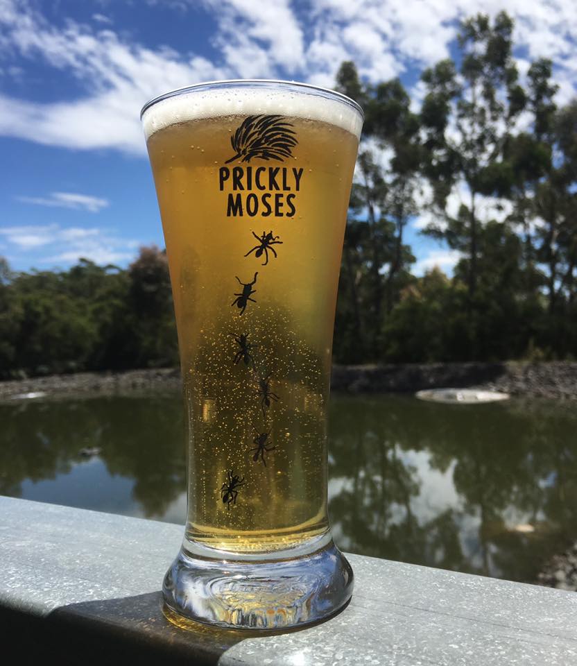 Prickly Moses Brewery | 10 Hoveys Rd, Barongarook VIC 3249, Australia | Phone: (03) 5233 8400