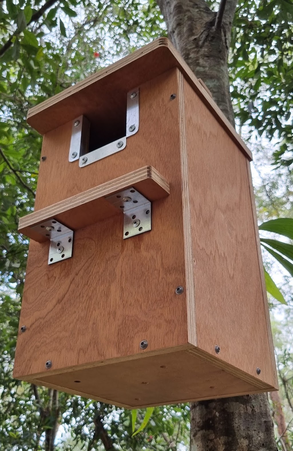 Comfy Creatures | 94 Stanton Cross Dr, Karalee QLD 4306, Australia | Phone: 0437 837 473