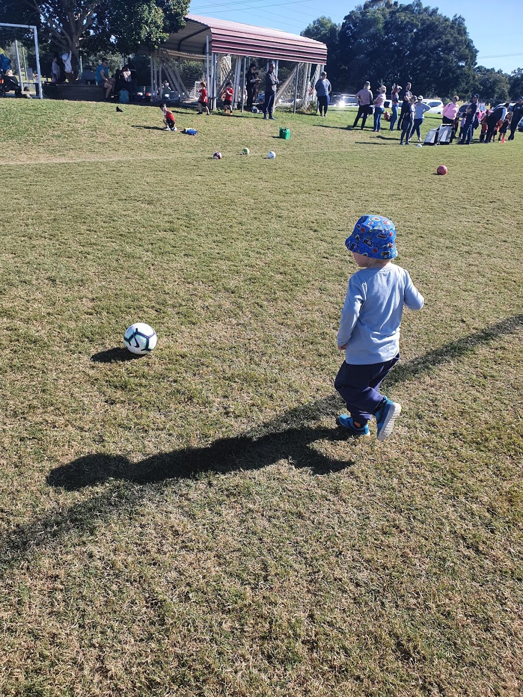 Albany Creek Football Club | Cribb Rd, Brendale QLD 4500, Australia | Phone: 0452 429 223