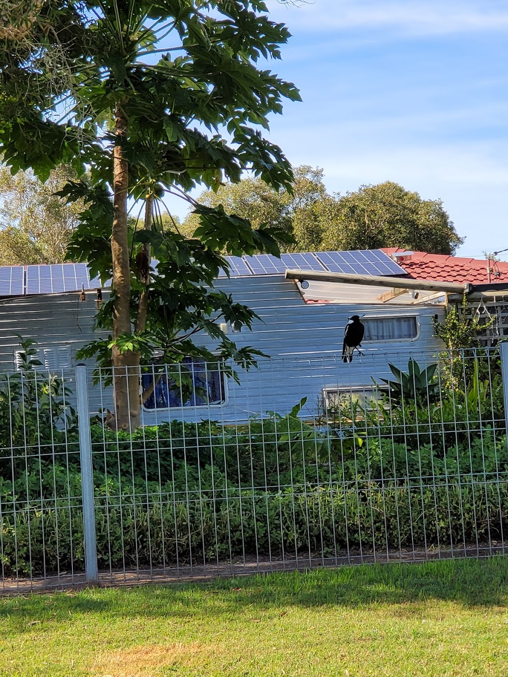 JT Eventz | 13 Thursby St, Tenambit NSW 2323, Australia | Phone: 0401 541 024