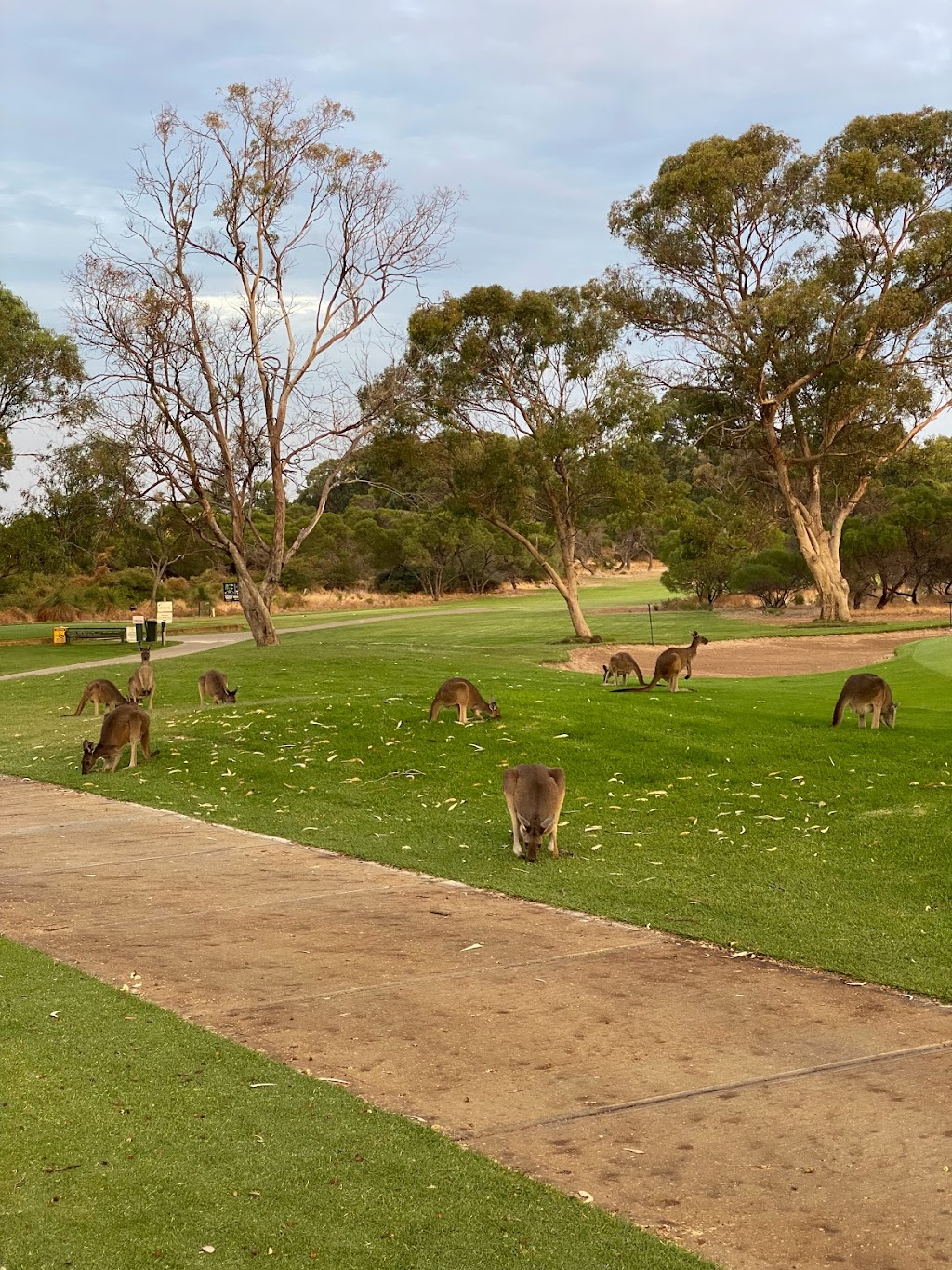 Rockingham Golf Club |  | Elanora Dr, Rockingham WA 6168, Australia | 0895271320 OR +61 8 9527 1320