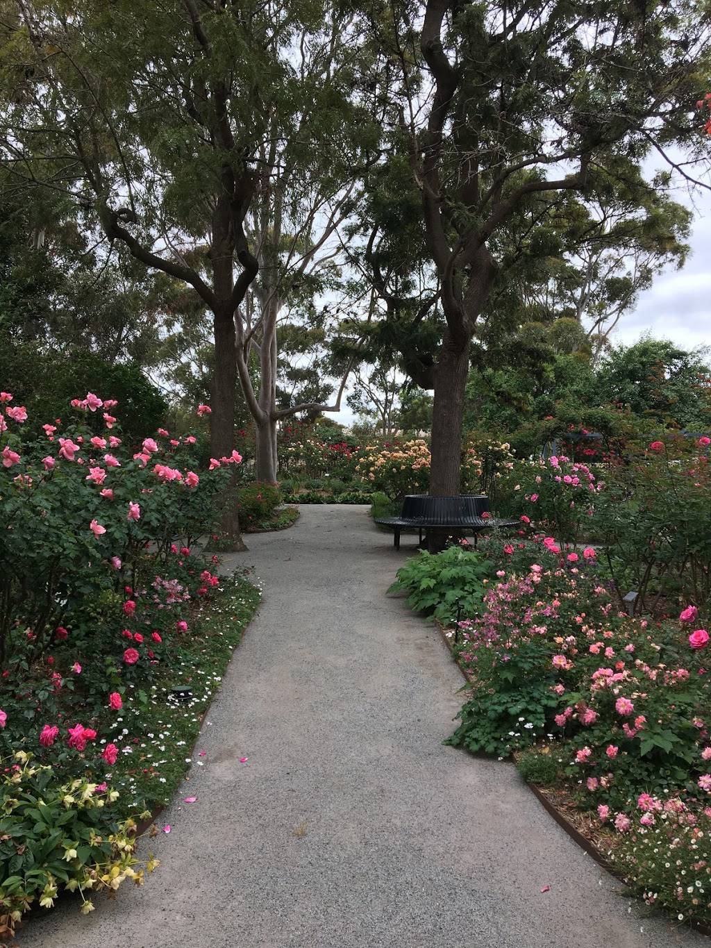 Alister Clark Memorial Rose Garden | tourist attraction | Cnr Bulla Rd, Bulla VIC 3429, Australia | 0393071485 OR +61 3 9307 1485