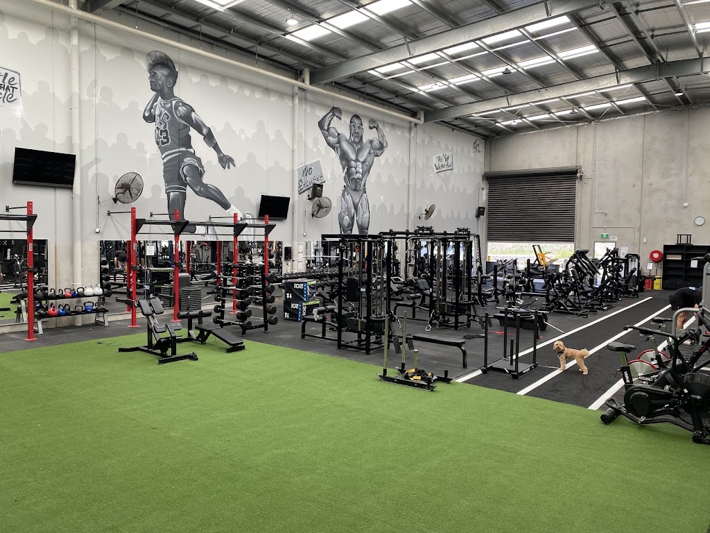 XCel Performance Strength and Rehabilitation | 4/22 Cylinders Dr, Torquay VIC 3228, Australia | Phone: 0416 781 791