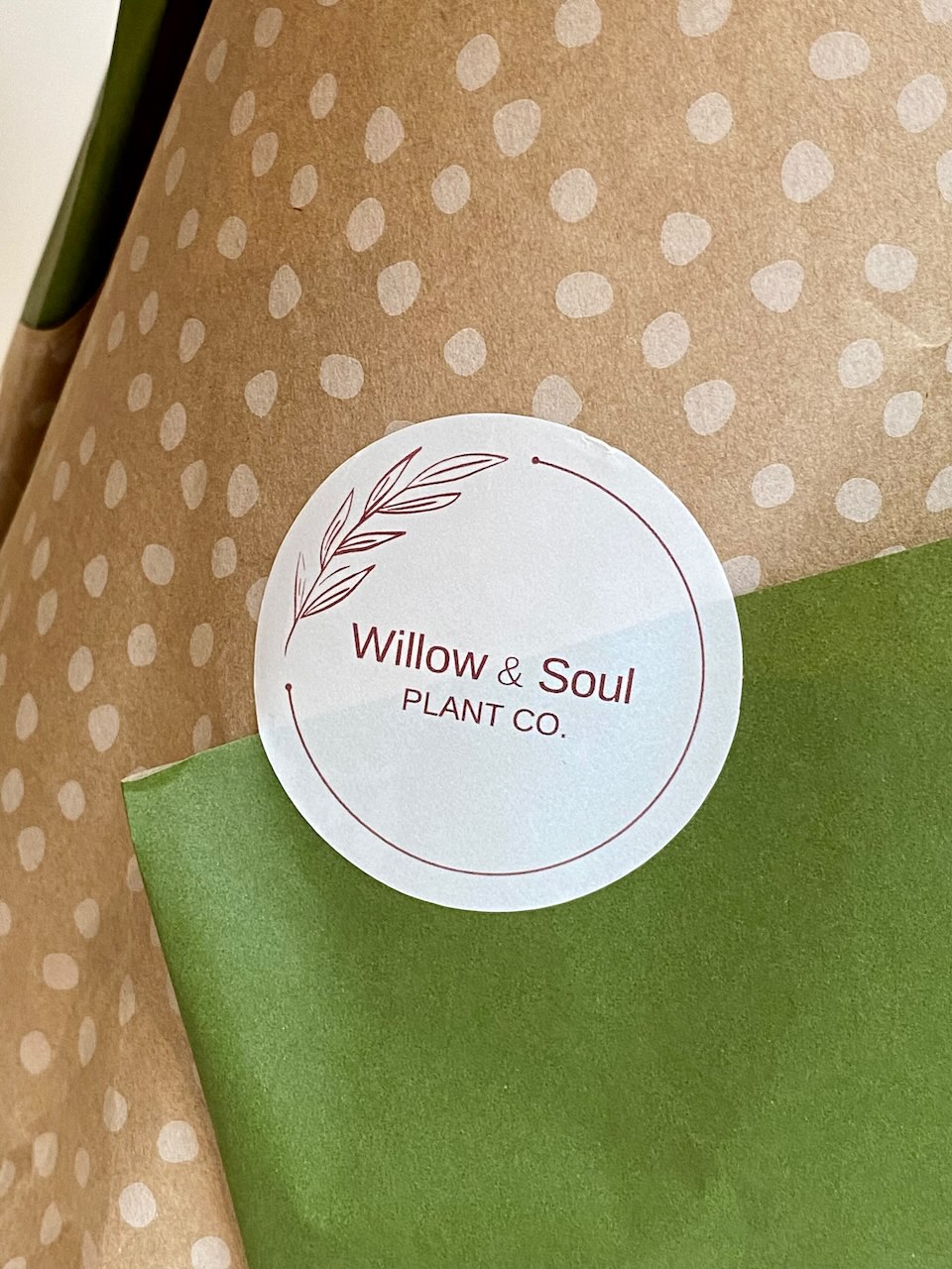 Willow & Soul Plant Co. | 40 Hopetoun Ave, Mount Martha VIC 3934, Australia | Phone: 0431 273 679