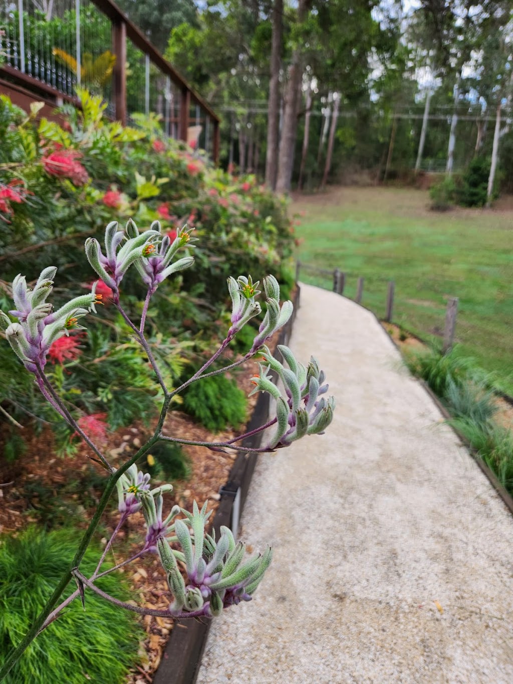 Aligned Landscapes | 99 Tuckers Rock Rd, Repton NSW 2454, Australia | Phone: 0474 252 414