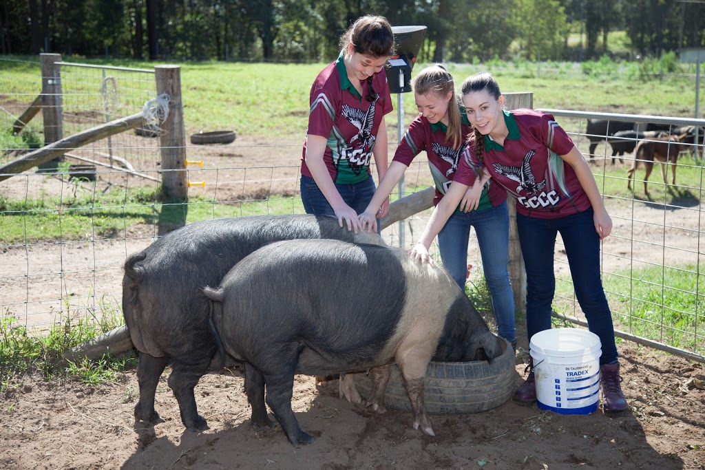 Glasshouse Christian College | school | 58 Roberts Rd, Beerwah QLD 4519, Australia | 0754390033 OR +61 7 5439 0033