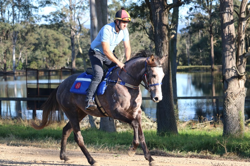 Hannover Lodge | 187 Putty Rd, Wilberforce NSW 2756, Australia | Phone: 0439 012 451