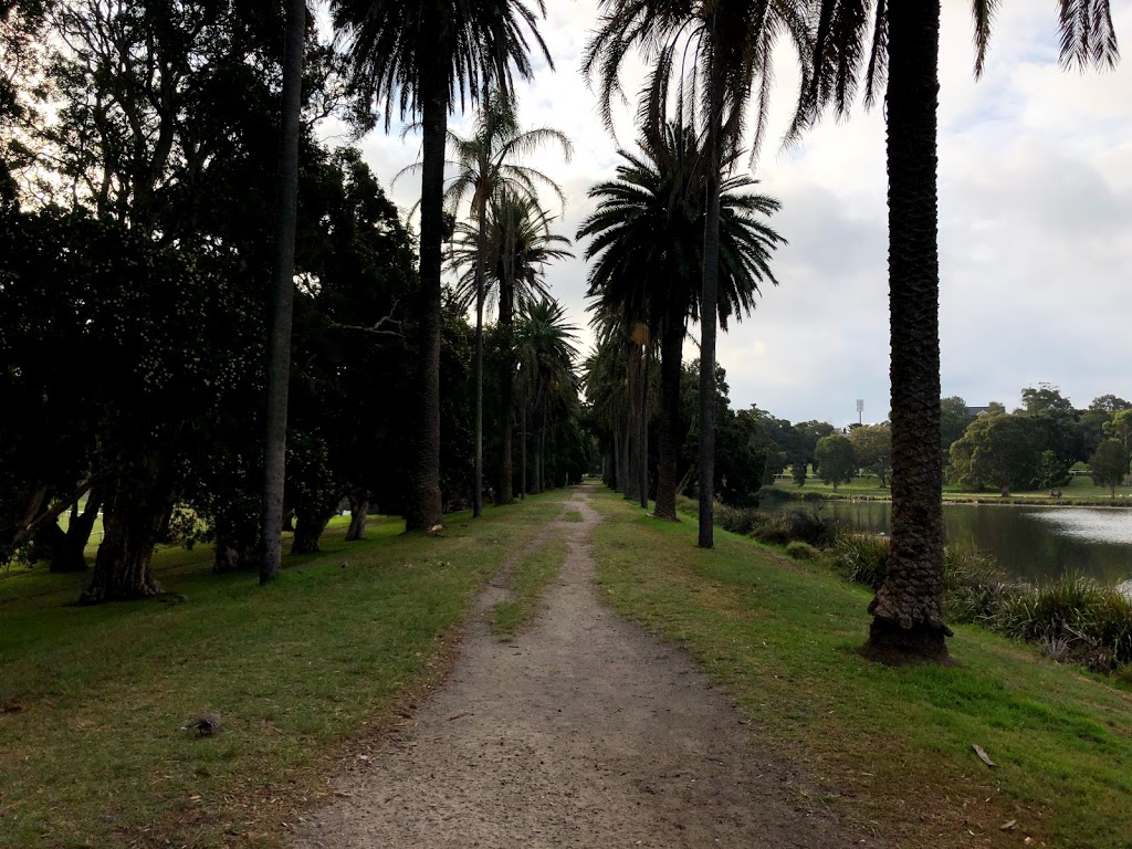 Busbys Promontory | park | Dickens Dr, Centennial Park NSW 2021, Australia