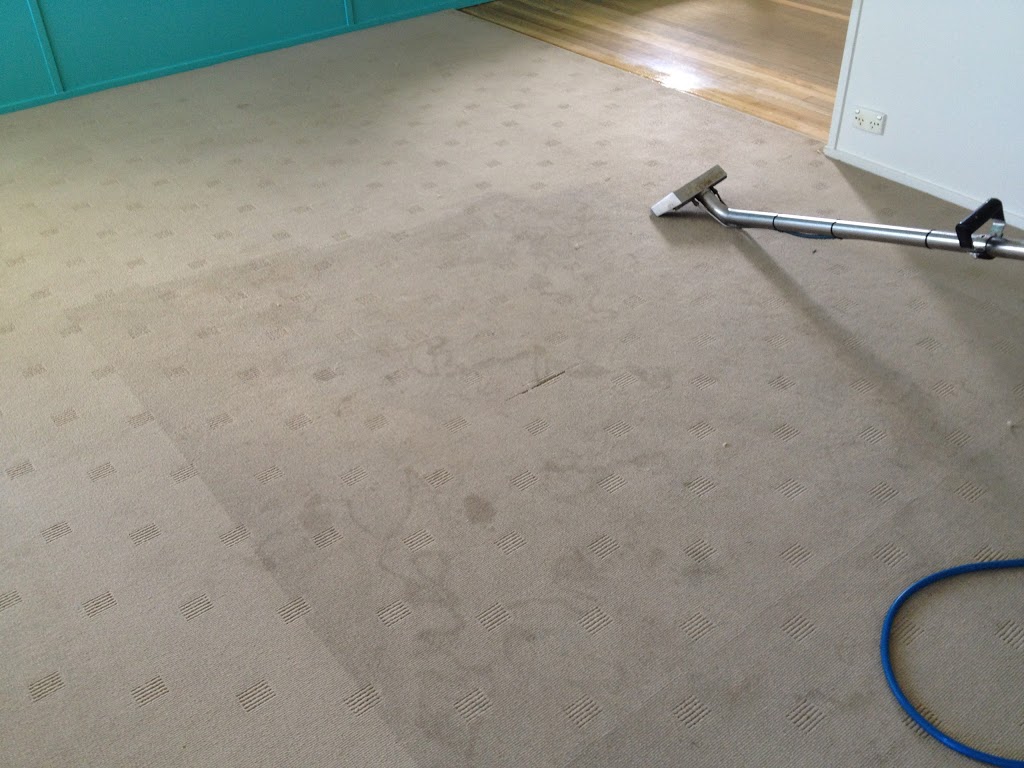 Redback Carpet Cleaning - Carpet & Upholstery Cleaning | Ross River Rd, Mundingburra QLD 4812, Australia | Phone: (07) 4772 7788