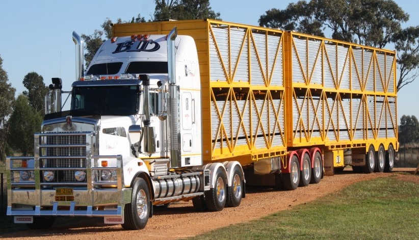 Bruce Dickinson Livestock Transport | 22L Yarrandale Rd, Dubbo NSW 2830, Australia | Phone: (02) 6882 3755