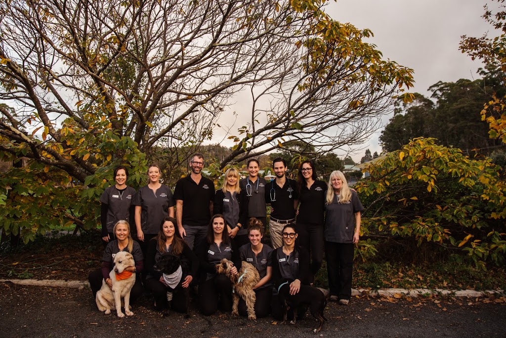 Forth Valley Veterinary Clinic | veterinary care | 25 Wilmot Rd, Forth TAS 7310, Australia | 0364282703 OR +61 3 6428 2703