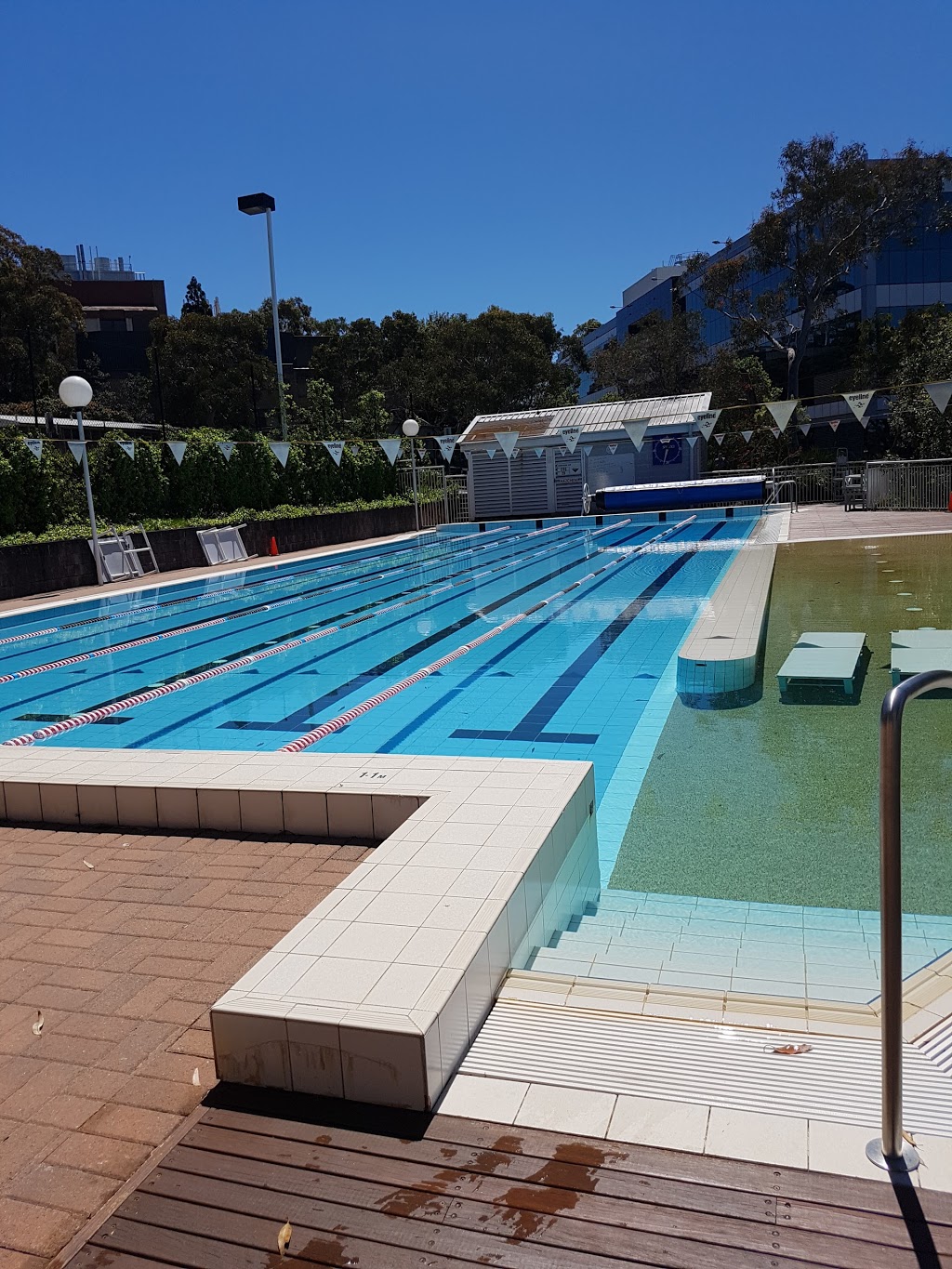 Brewer Swimming | health | Saint Ignatius College, Tambourine Bay Rd, Lane Cove NSW 2066, Australia | 0419801474 OR +61 419 801 474