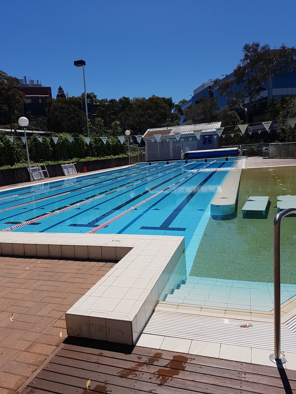 Brewer Swimming | Saint Ignatius College, Tambourine Bay Rd, Lane Cove NSW 2066, Australia | Phone: 0419 801 474