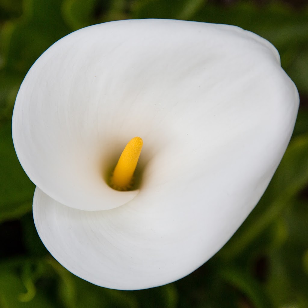 Mission Australia Triple Care Farm Knights Hill | 188 Knights Hill Rd, Knights Hill NSW 2577, Australia | Phone: (02) 4885 1265