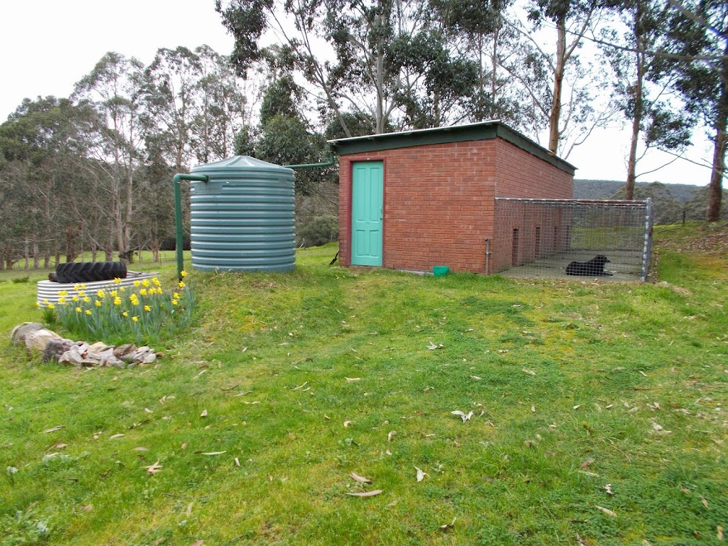 Tacita Boarding Kennels | 132 Walter Rd, Scotsdale WA 6333, Australia | Phone: (08) 9840 9350