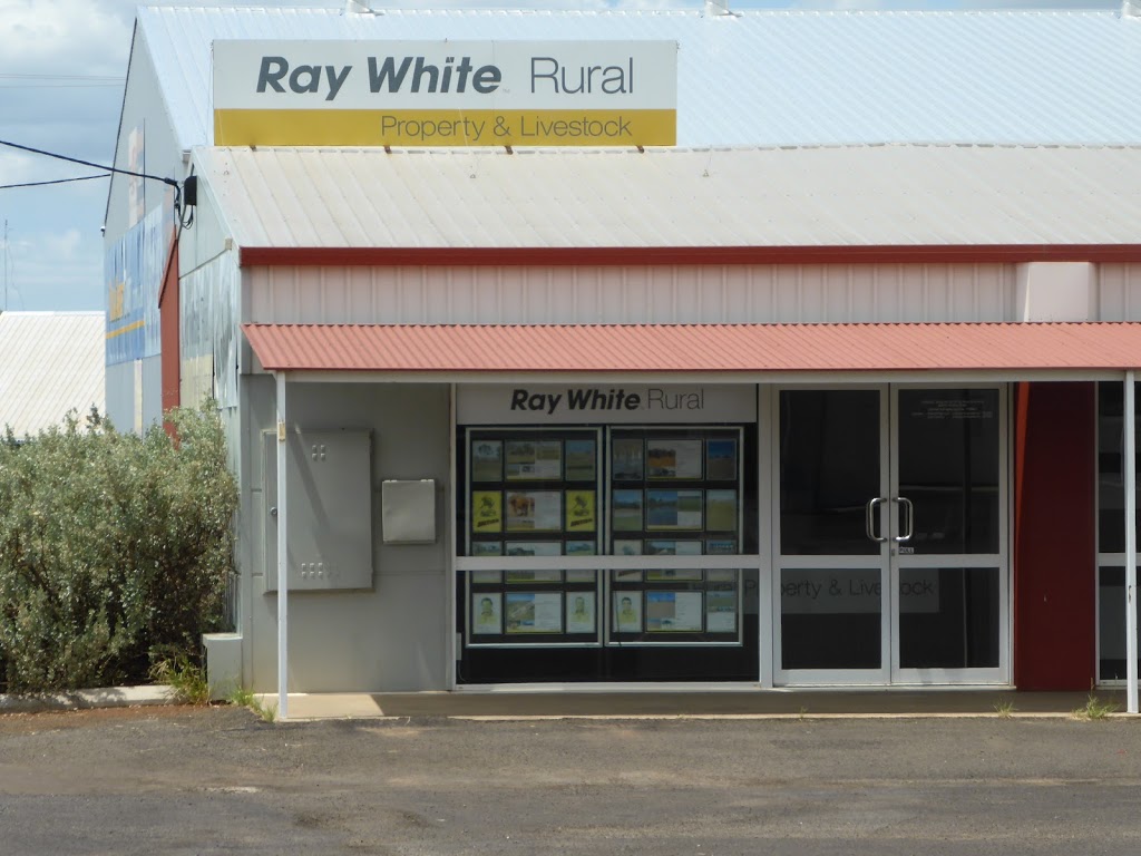 Ray White Roma Livestock | 1a/90 Raglan St, Roma QLD 4455, Australia | Phone: (07) 4622 7441