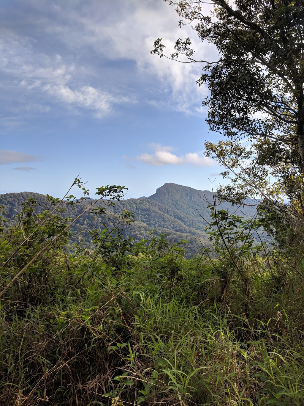 Mount Cougal | Currumbin Creek Rd, Currumbin Valley QLD 4223, Australia | Phone: 13 74 68