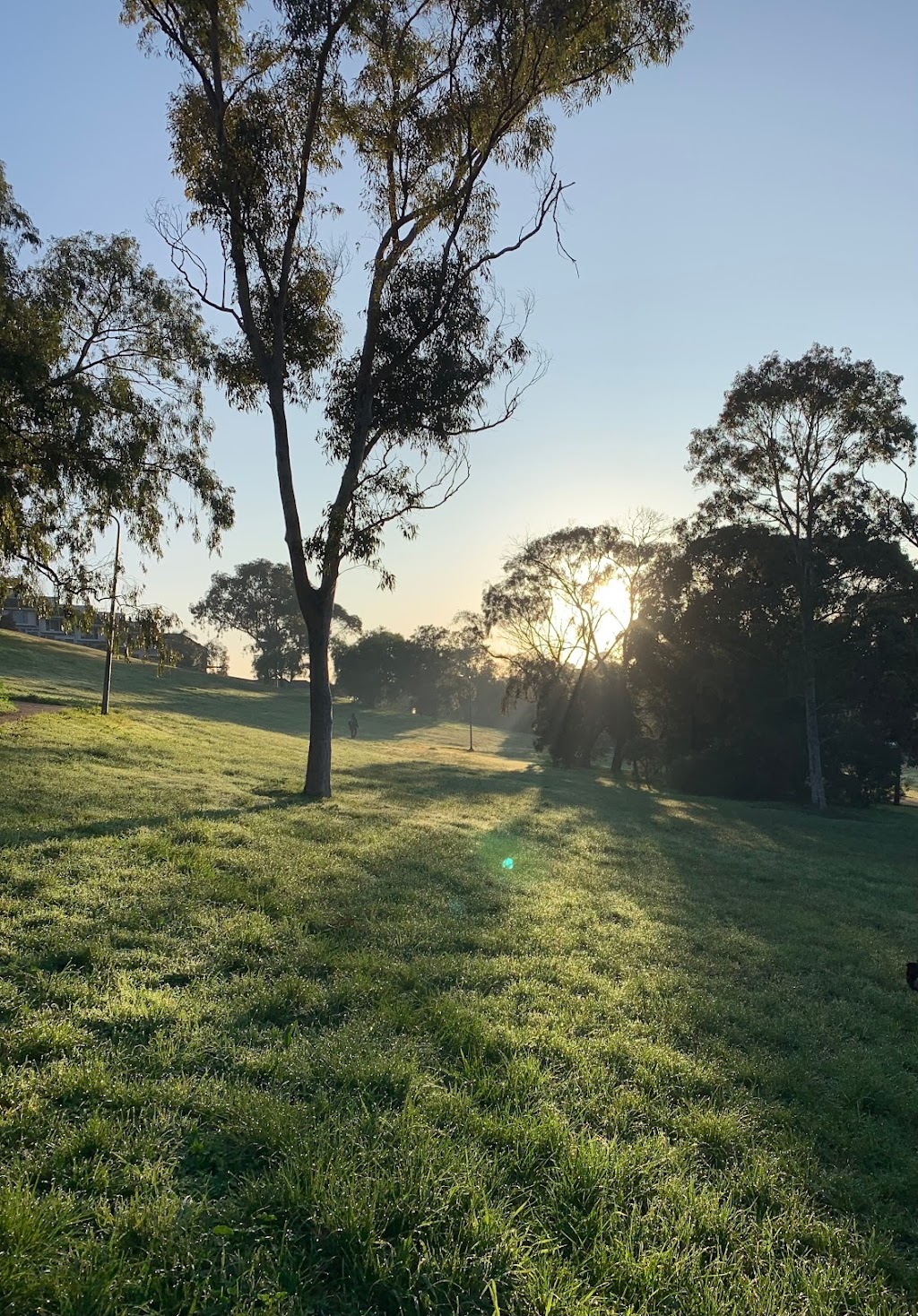 Austin Crescent Reserve Dog Off Leash Area | park | 22 Austin Cres, Pascoe Vale VIC 3044, Australia | 0386063500 OR +61 3 8606 3500