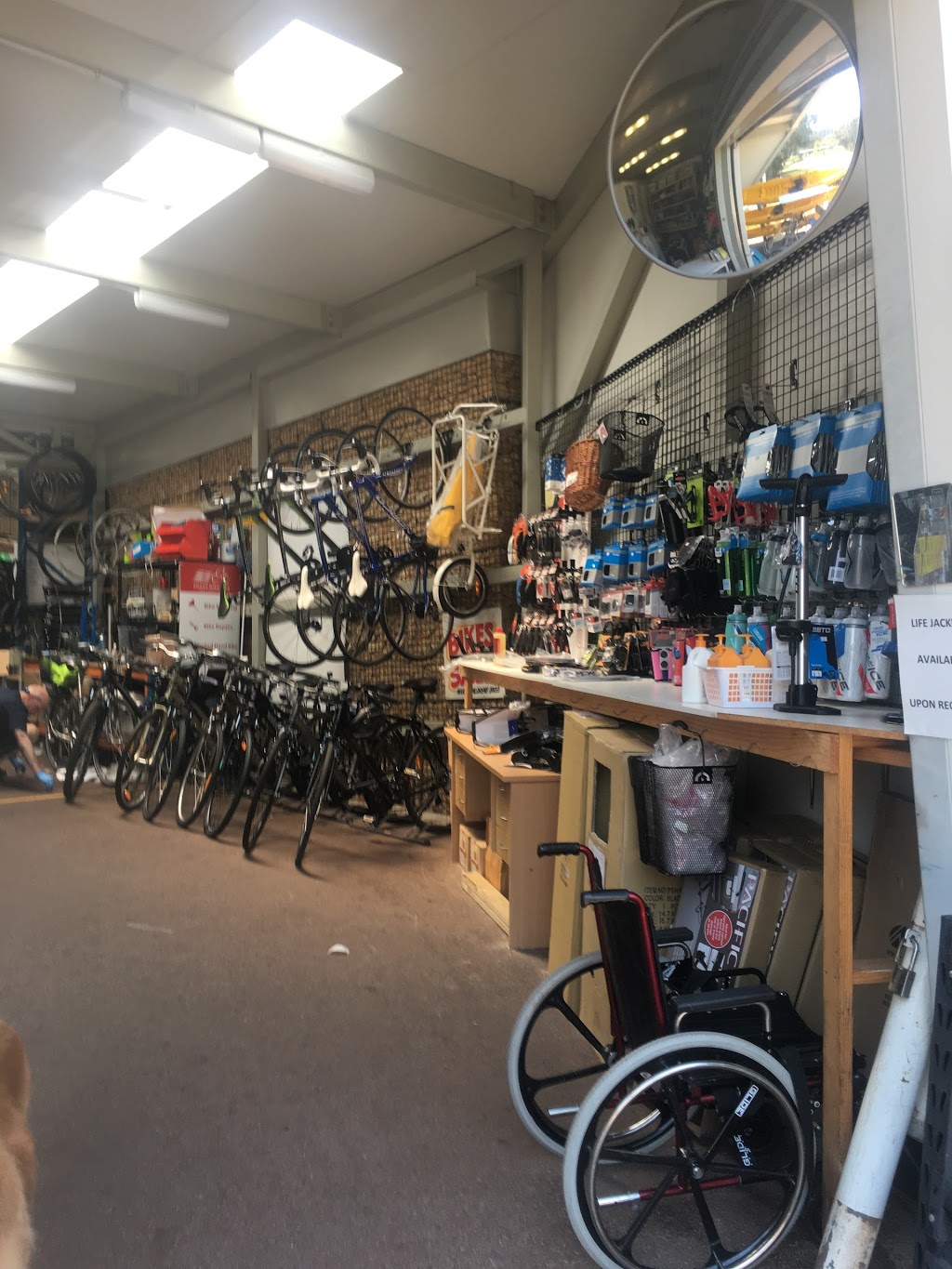 About Bike Hire (Perth) -Road Carbon , Electric Bikes Hire - Kay | bicycle store | 305 Riverside Dr, Perth WA 6004, Australia | 0892212665 OR +61 8 9221 2665