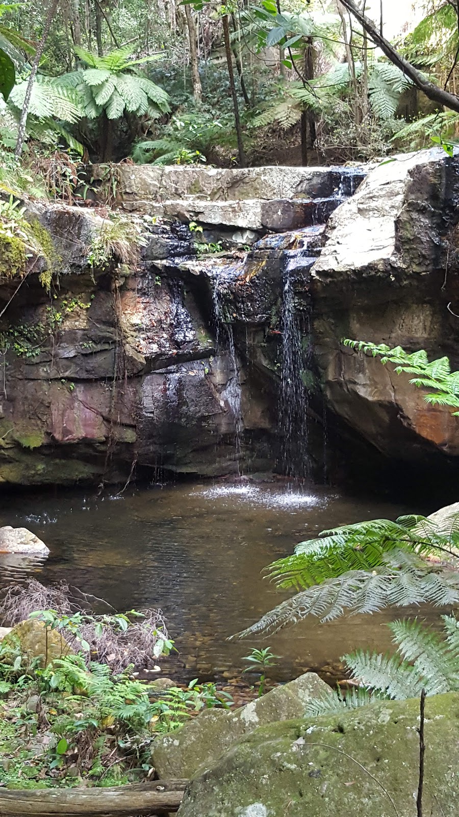 Carnarvon Gorge Park | travel agency | 4043 Obriens Rd, Carnarvon Gorge QLD 4702, Australia | 0749844652 OR +61 7 4984 4652