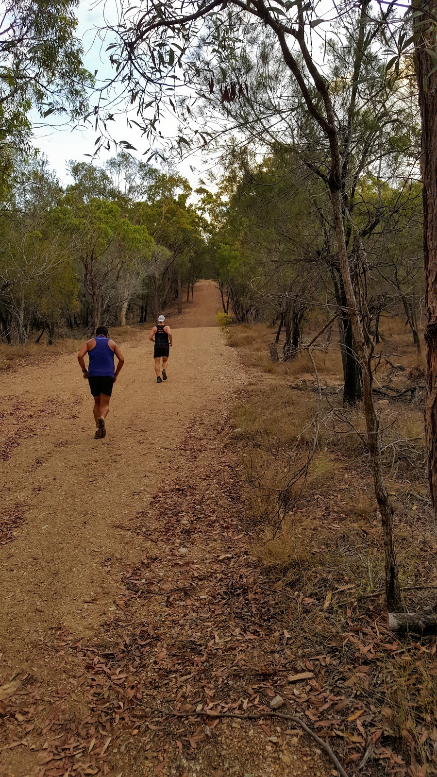 Belmont Hills Reserve | 132 Scrub Rd, Carindale QLD 4152, Australia | Phone: 13 32 63