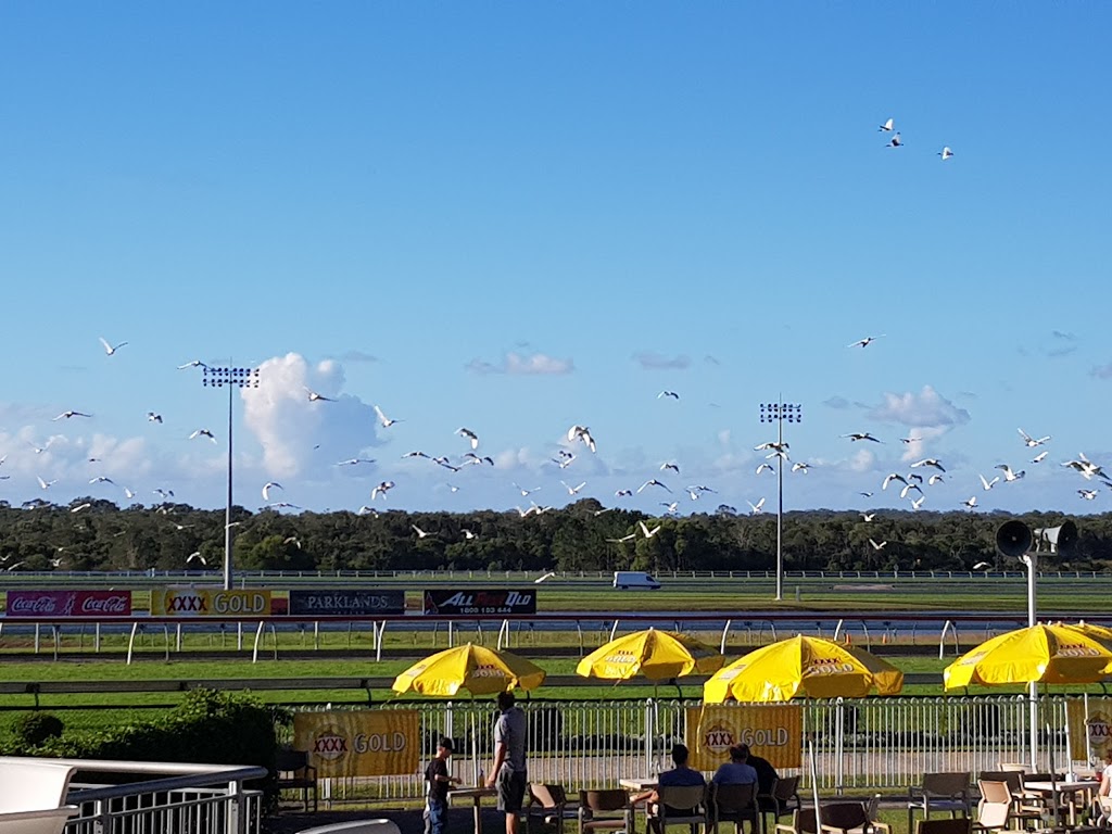 Sunshine Coast Turf Club | 170 Pierce Ave, Caloundra QLD 4551, Australia | Phone: (07) 5491 6788