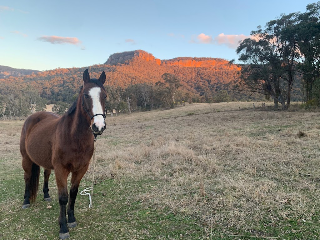 Wild Hooves Equine Assisted Psychotherapy | 448 Kanimbla Dr, Kanimbla NSW 2790, Australia | Phone: 0493 874 360