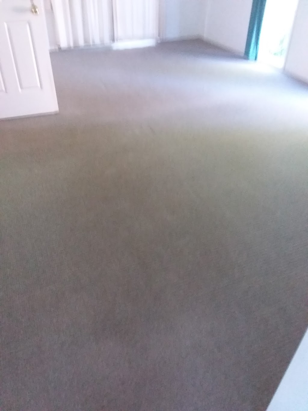 All Carpet Cleansing | laundry | 26 Pecan Dr, Upper Coomera QLD 4209, Australia | 0432238088 OR +61 432 238 088