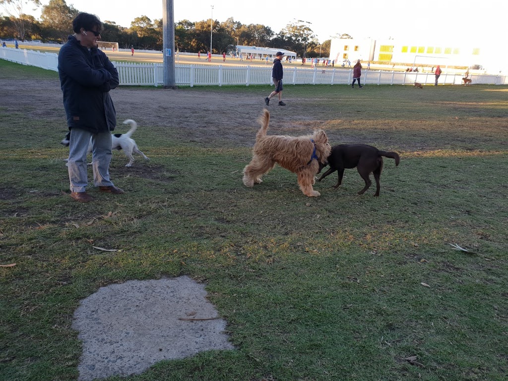 Dog park | Odawara Cl, Fairlight NSW 2094, Australia | Phone: 1300 434 434