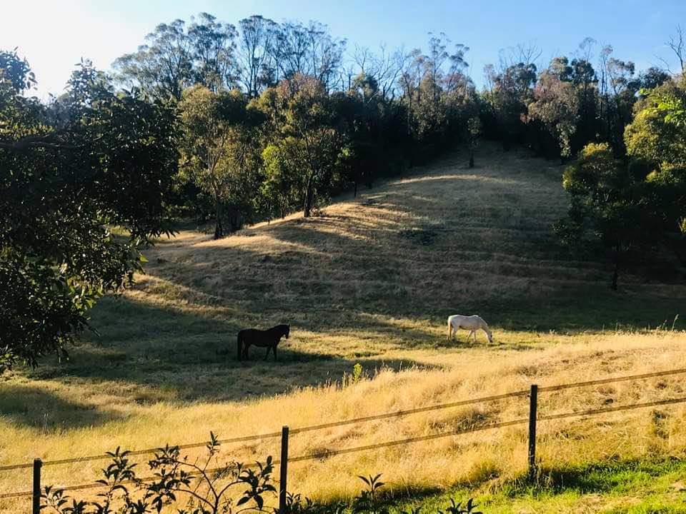 StockGuard Electric Fencing | 208 S Branch Rd, Maryvale QLD 4370, Australia | Phone: 0402 088 866
