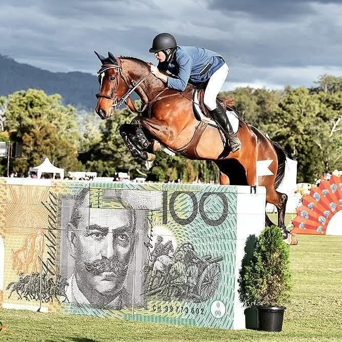 James Equestrian | 188 Armstrong Rd, Biddaddaba QLD 4275, Australia | Phone: 0422 171 421