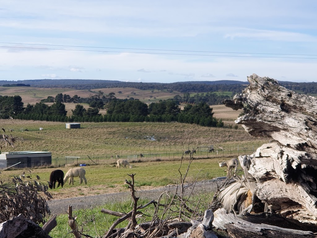 Giaginye Alpacas | food | 168 Cockatoo Rd, Yalbraith NSW 2580, Australia | 0419250928 OR +61 419 250 928