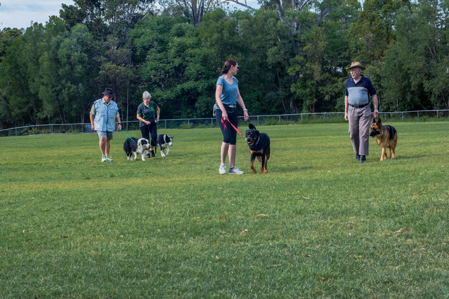 Bonnies Dog Obedience & Puppy School | Chaprowe Rd, The Gap QLD 4061, Australia | Phone: 0434 067 536