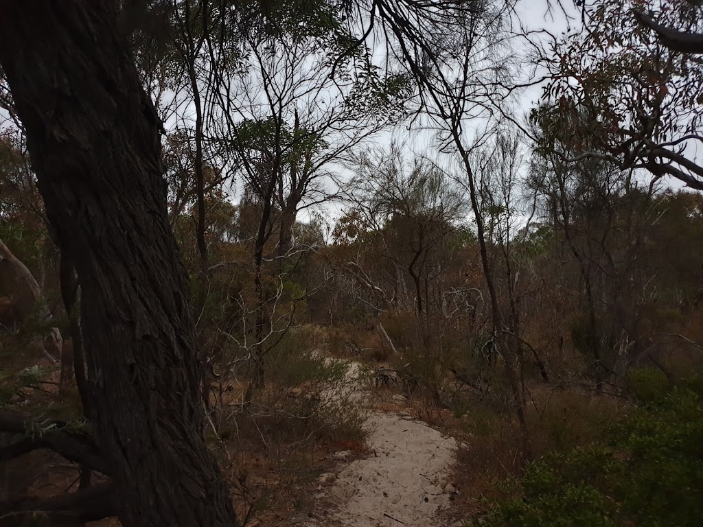 Aldinga Scrub Conservation Park | Aldinga Beach SA 5173, Australia