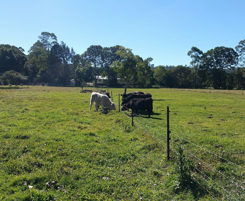 Cattle Clobber | 11 Anzac Rd, Eudlo QLD 4554, Australia | Phone: (07) 5478 8898