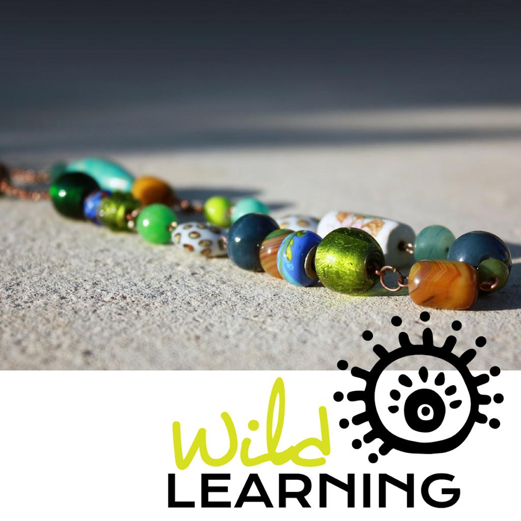 Wild Learning | 111 Wollombi Rd, Cessnock NSW 2325, Australia | Phone: 0412 835 865