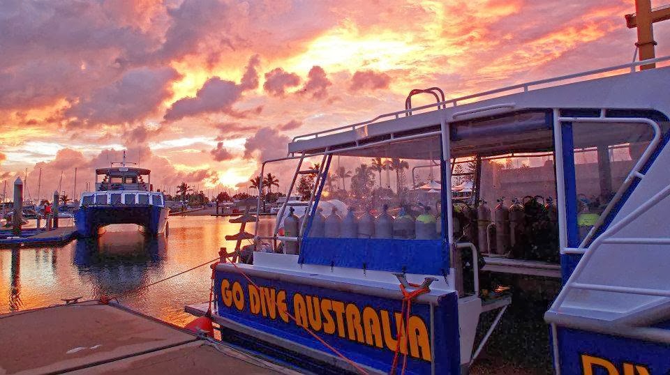 Go Dive Service Centre | shop 5/178 Albion Rd, Windsor QLD 4030, Australia | Phone: 0434 519 114