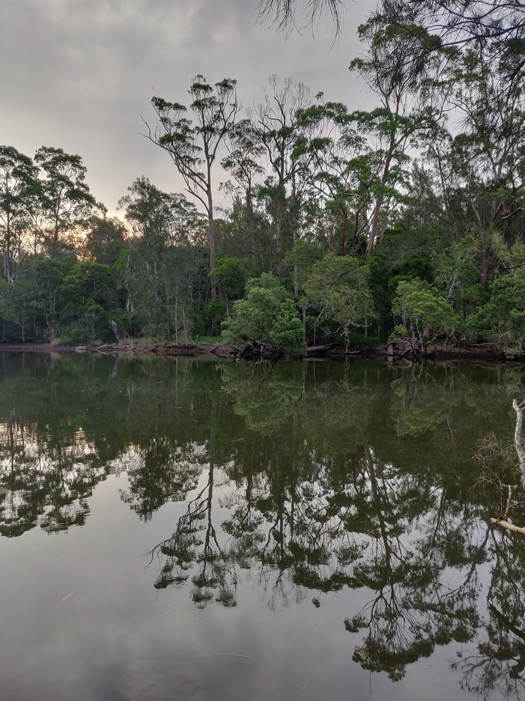 Woollamia Nature Reserve | Huskisson NSW 2540, Australia