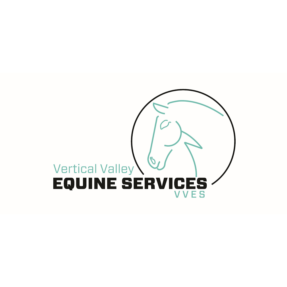 Vertical Valley Equine Services | travel agency | 7 Costelloe Rd, Laceys Creek QLD 4521, Australia | 0413209069 OR +61 413 209 069