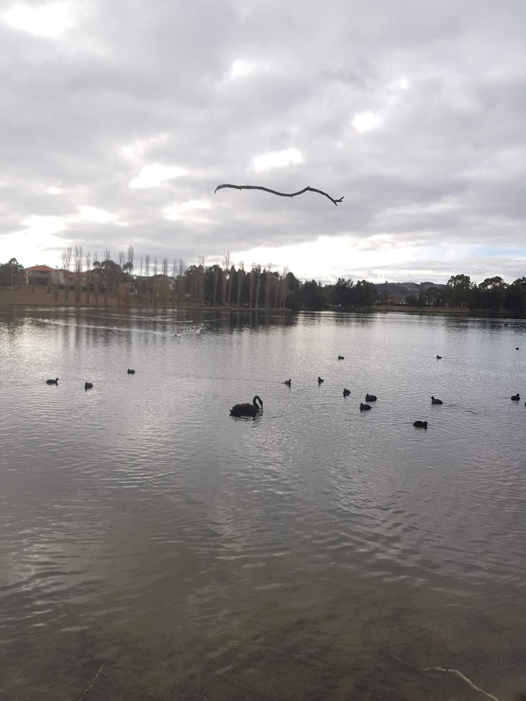 Yerrabi Pond | park | Yerrabi Pond,, Canberra ACT 2912, Australia | 132281 OR +61 132281